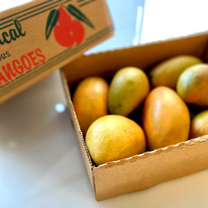 ADD-ON: Tropical Mangoes (1.5kg approx)
